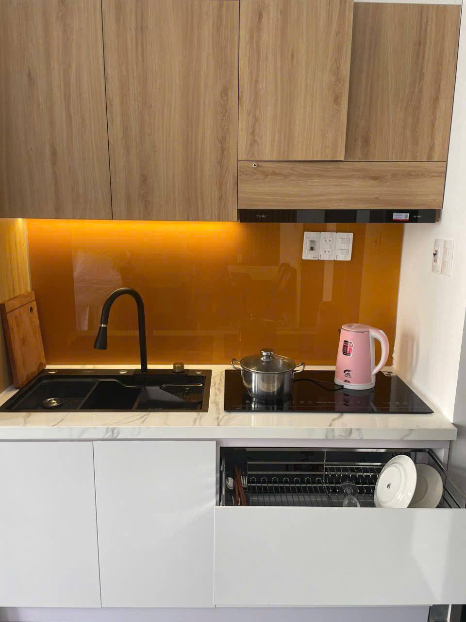Studio apartment in My An — photo 3
