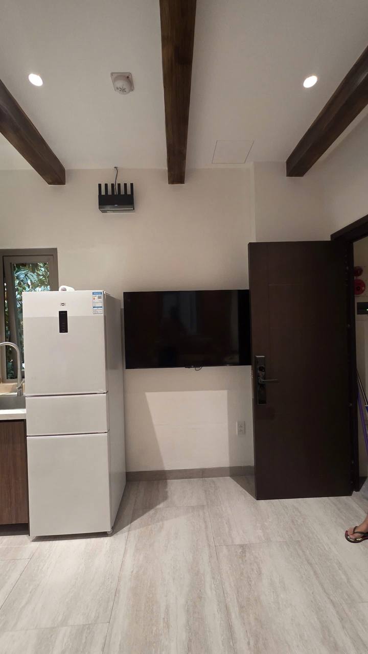 2BR apartment in My An — photo 10