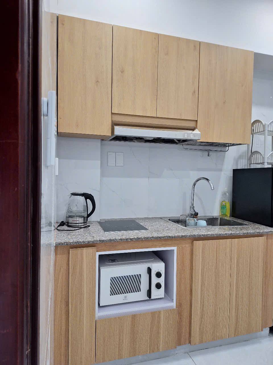 1BR apartment in Son Tra — photo 4