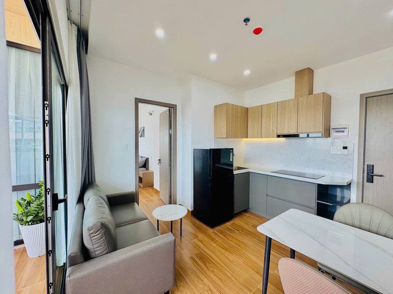 1BR apartment in Khue My — photo 4