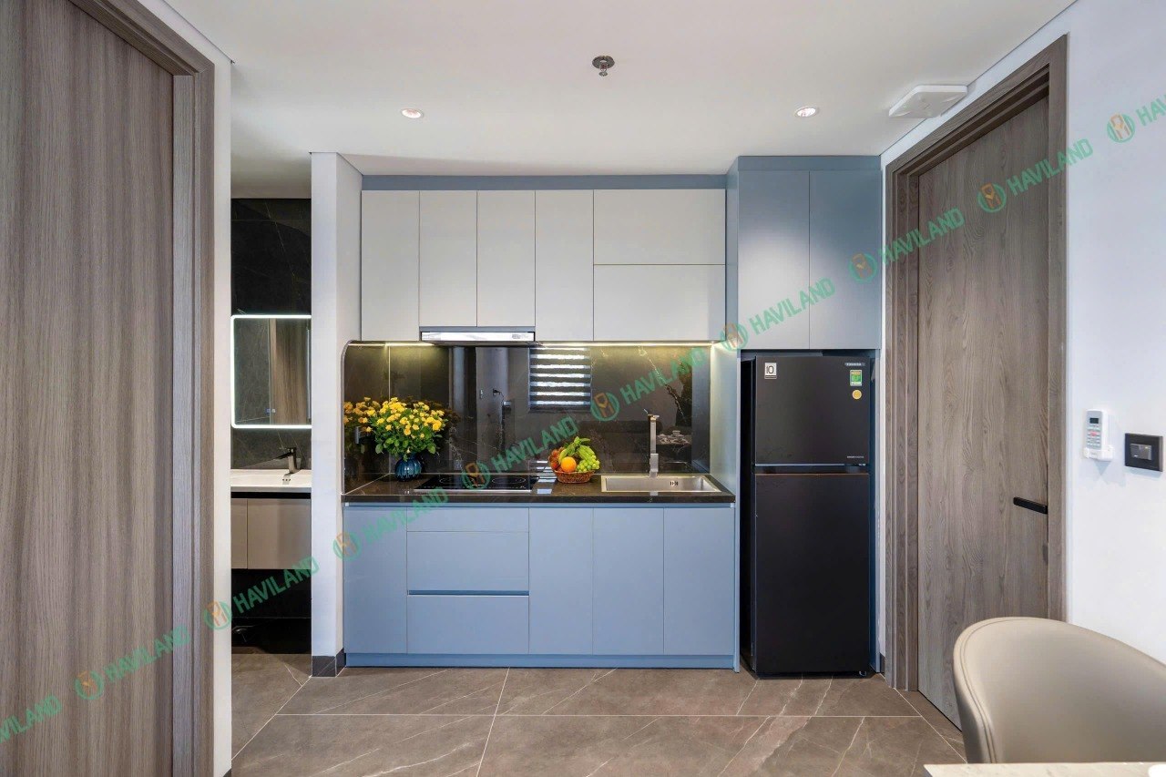 1BR apartment in Hoa Xuan — photo 4