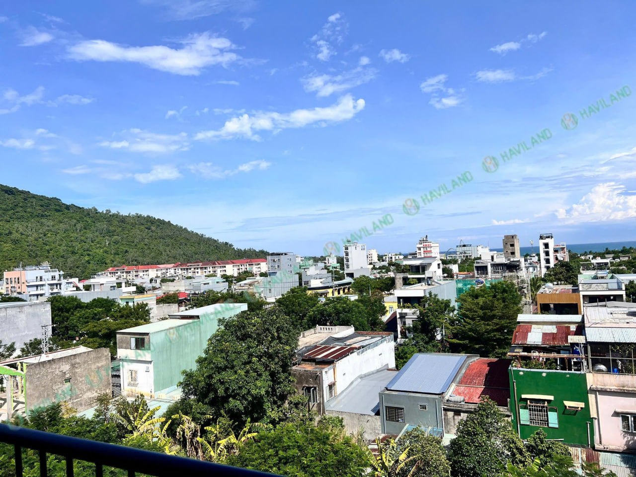 1BR apartment in Son Tra — photo 6