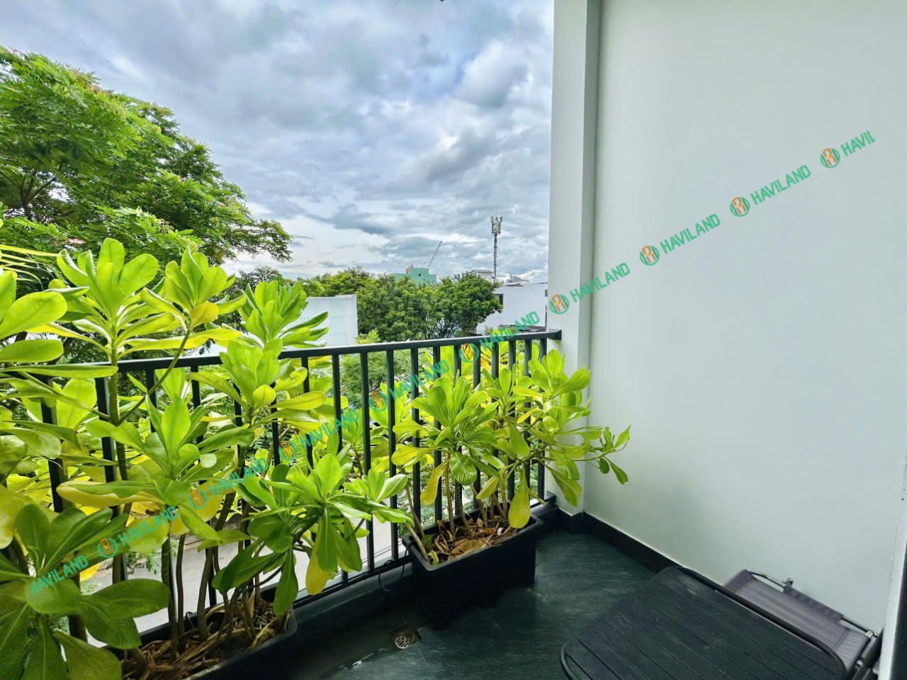 1BR apartment in Hai Chau — photo 4