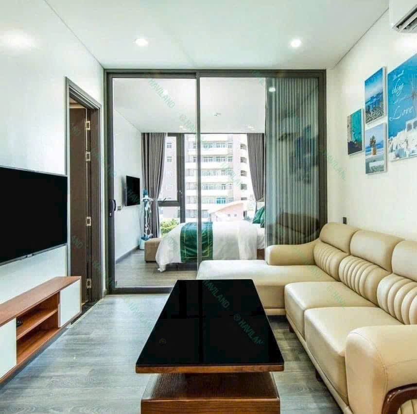 1BR apartment in Son Tra — photo 7