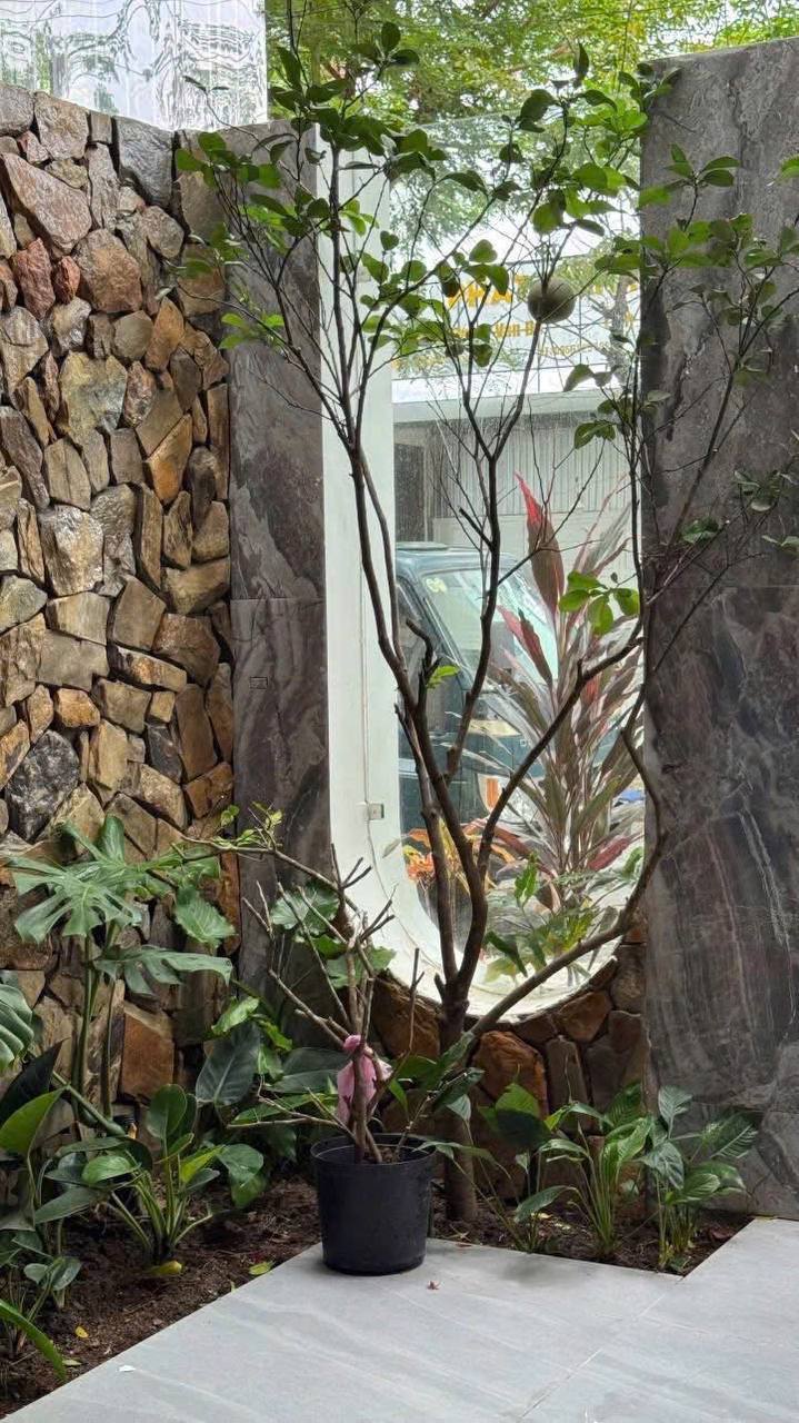 3BR house in Cam Le — photo 9