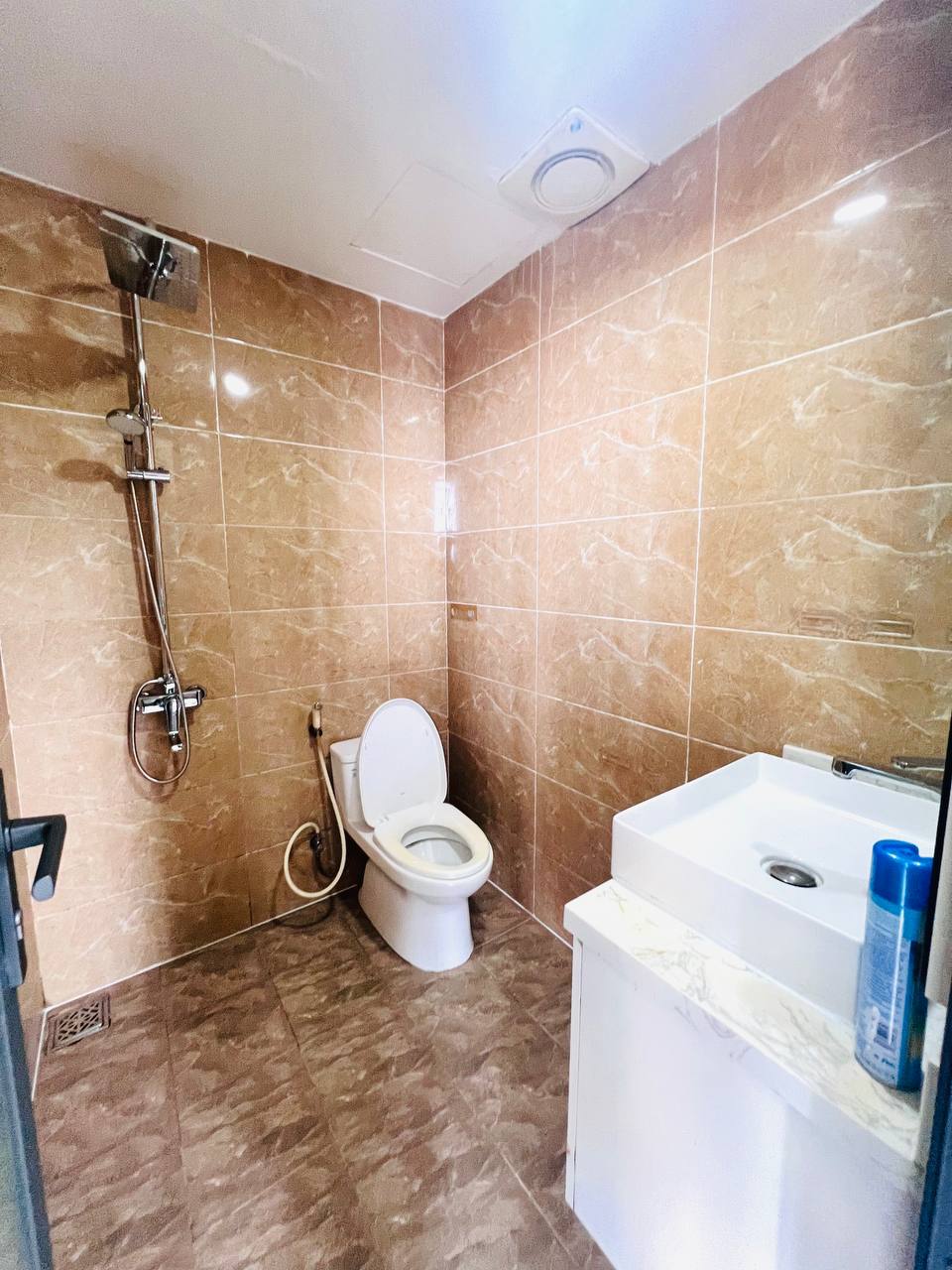2BR apartment in My An — photo 4