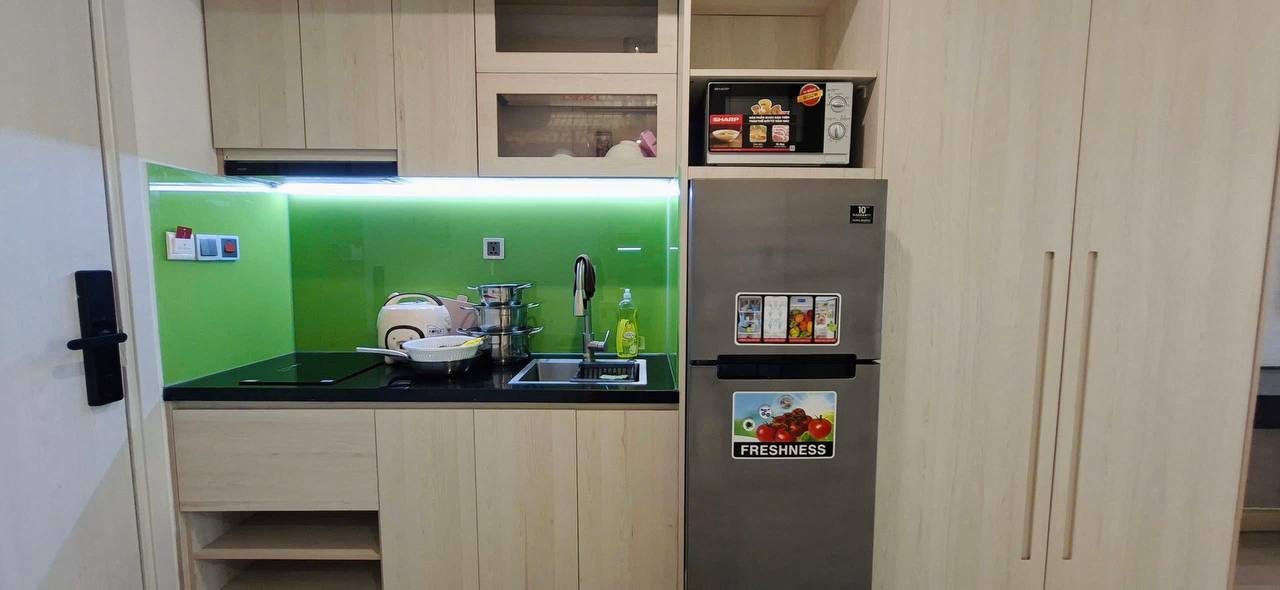 1BR apartment in Son Tra — photo 4
