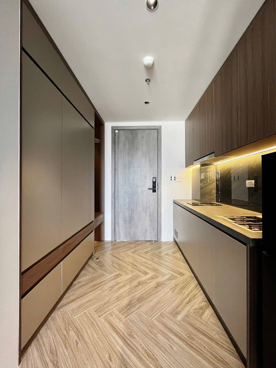 1BR apartment in My An — photo 7